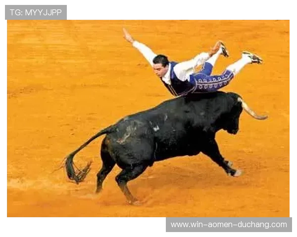 便捷的真人斗牛网址大全，快速找到正规高效的斗牛游戏在线体验渠道