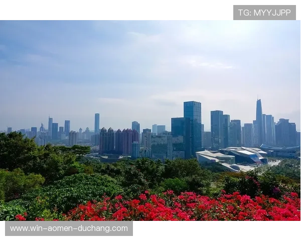 大阳城地址平台与本地生活相关信息的结合，助你掌握更多生活便利资讯
